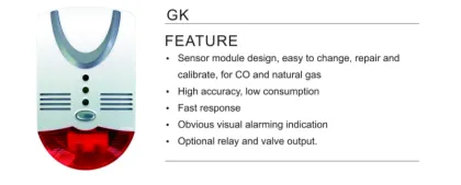 Gas Detector For House