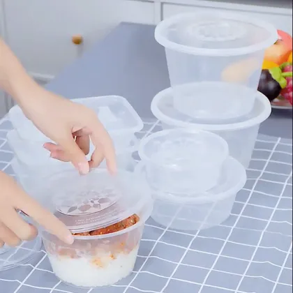 Disposable Fast Food Plastic Containers for Meal Packaging