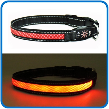 Usb Rechargeable Led Flashing Dog Collar