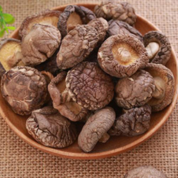 Organic Dried Mushrooms With Floral Scent