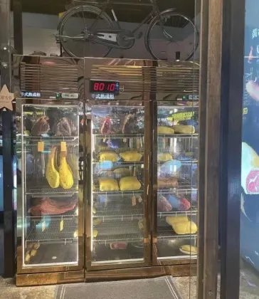 High-Quality Commercial Wagyu Beef Dry Aging Refrigerator for Restaurants