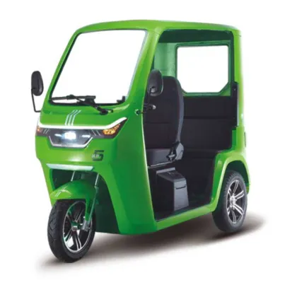 EEC Certificate Electric Tricycle Adult Cargo Passenger Three Wheels electric tuk tuk