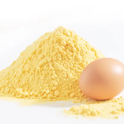 Egg Yolk Powder Organic