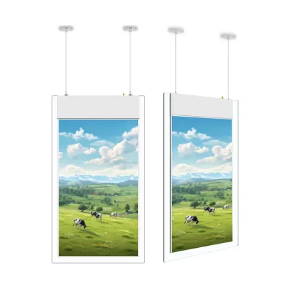 Digital Floor Signage and LCD Window Advertising Displays