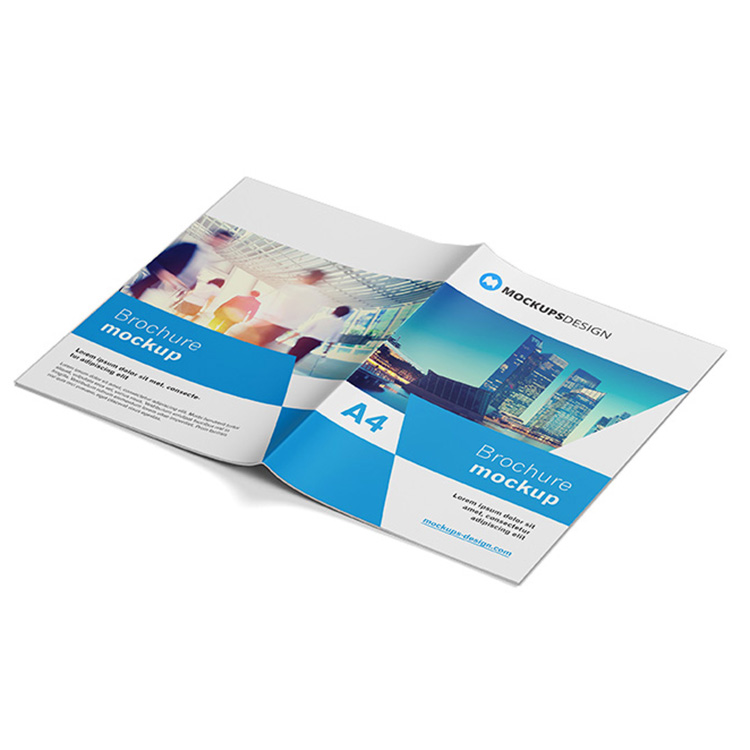 Die-cut Flyer Printing