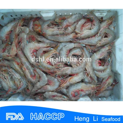 HL002 seafood frozen shrimp from china