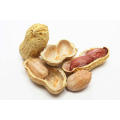 Luteolin Pó 98% Extrato de Shell de Amendoim