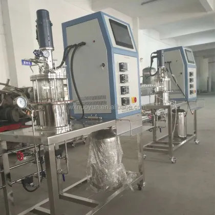 Stainless Steel Fermenter and Bioreactor Prices - Bioreactor for Sale