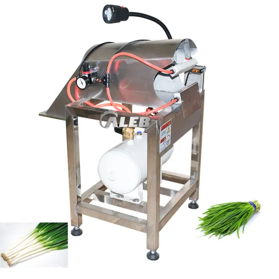 Hot Selling Leaf Vegetable and Herb Root Mud Removing Machine