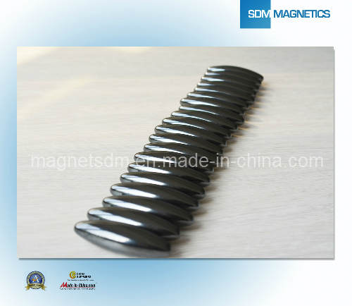 Special Shape Epoxy Magnet with Pass The Ts 164949