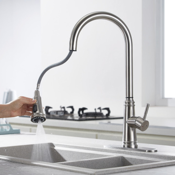 Faucet Dapur Fungsi Ganda Nikel Satinless Steel