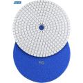 Stone Polishing Disc Dry Wet Diamond Polishing Pads