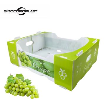 Peach Fruit and Vegetable Corrugated Plastic Box for Agriculture Packing