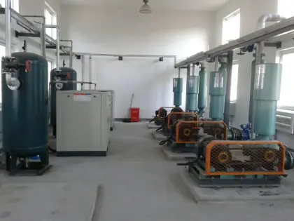 Roots Blowers Positive Displacement Blowers