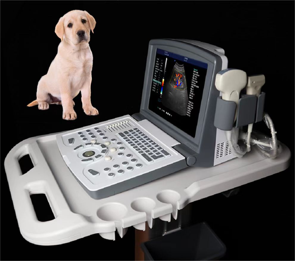 Máquina de ultrassom portátil de Ultrassom Doppler em cores veterinárias