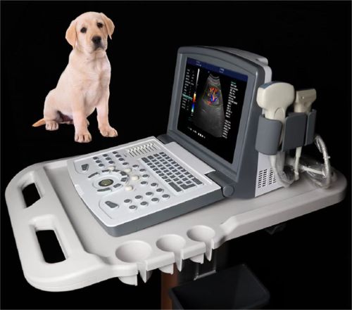 Macchina ad ultrasuoni Doppler a colori veterinarie portatili