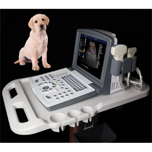 Máquina de ultrassom portátil de Ultrassom Doppler em cores veterinárias