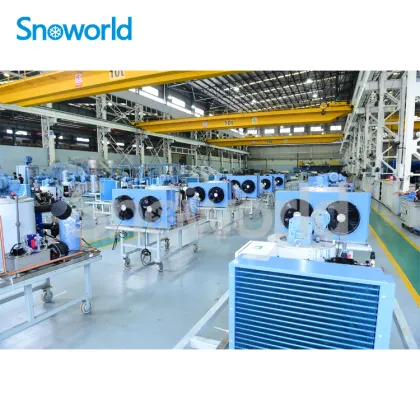 Snow world Flake Ice Machine in Malaysia