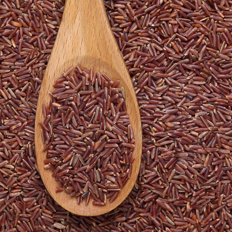 Red Yeast Rice Extract