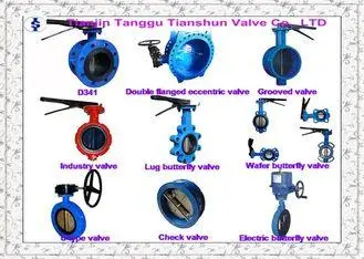 High Performance Double Flange Centerline Butterfly Valves