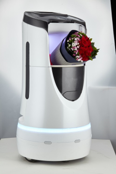 Hotel Multi-function Hotel Robots