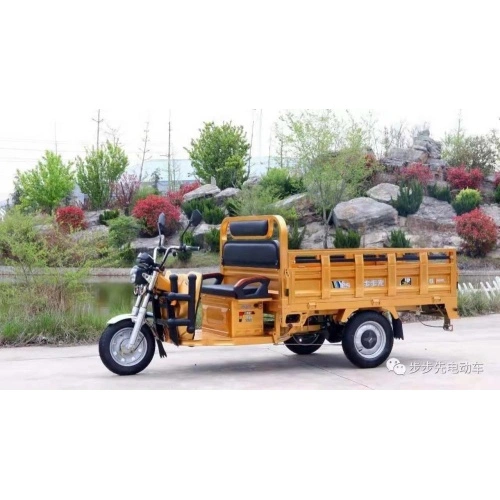 Electric Cargo Tricycle For Farmer And Agriculutural Using China Manufacturer