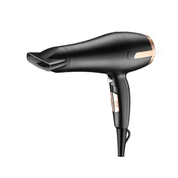 Professional Hair Dryer with DC Motor