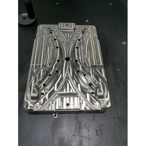 Metal insert and double needle injection mold