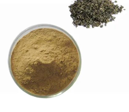 Supplement 98% Jiaogulan Gynostemma Pentaphyllum Extract