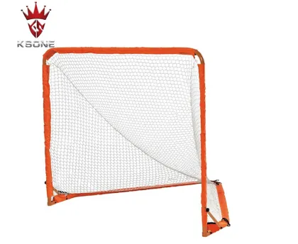Backyard Lacrosse Goal (