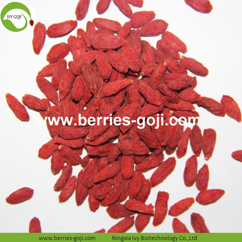 Factory Supply Healthy A Grade Fruit Goji