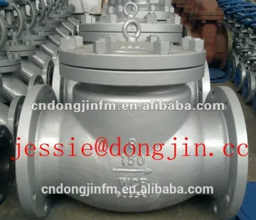 Carbon steel check valve