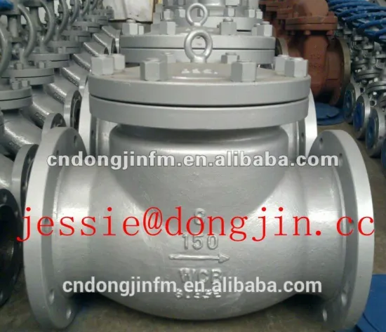 Carbon steel check valve