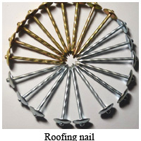 common umbrella head roofing nails