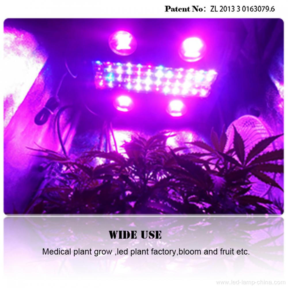 High Efficient 600W LED Grow Light Plant