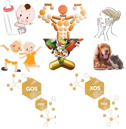 Fructooligosaccharides FOS Powder nutrition facts