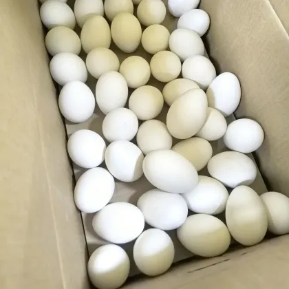 Korean style roasted goose eggs