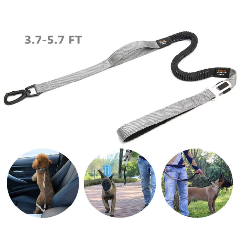 2 Paded Handles Dog Leash