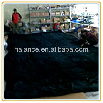 Starry Sky Lighting: Fiber Optic LED Star Cloth
