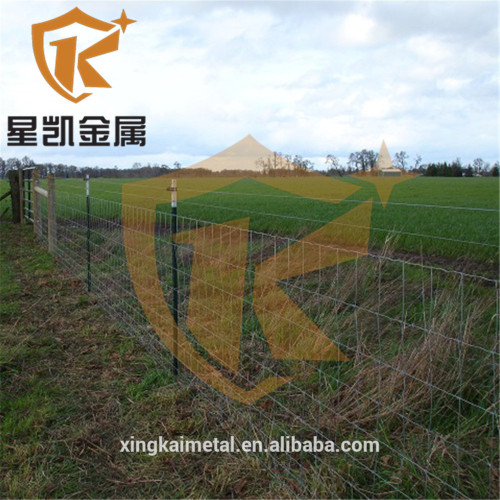 galvanized field fence for farm