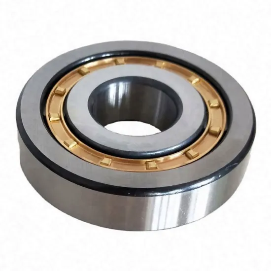 N1011 55x90x18 mm Cylindrical Roller Bearing