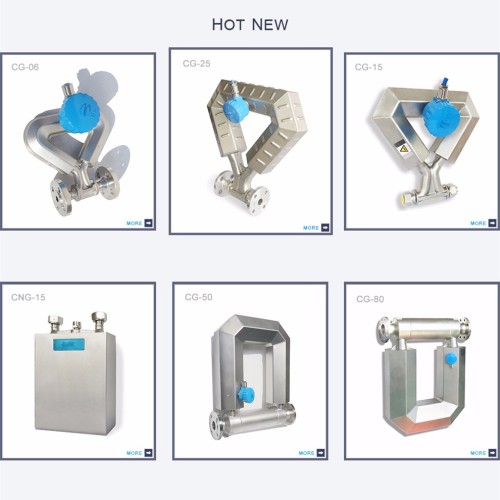 DN25 Coriolis mass flowmeter flow meter