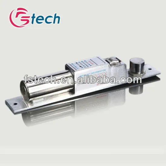 Hot sell 12V door locks dead bolt lock