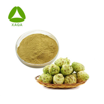 Noni Extract Powder Noni Fruit