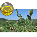 Wild Grow Organic Camellia seed Oil