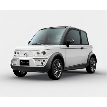 2022 New fast electric car model EV Chinse Huazi small electric cars with reliable quality multicolor 4WD EV