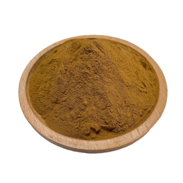 Polvo de extracto de semilla de hinojo natural de alta calidad