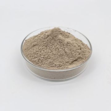 การบำบัดแบคทีเรียอย่างมีประสิทธิภาพสำหรับน้ำเสีย