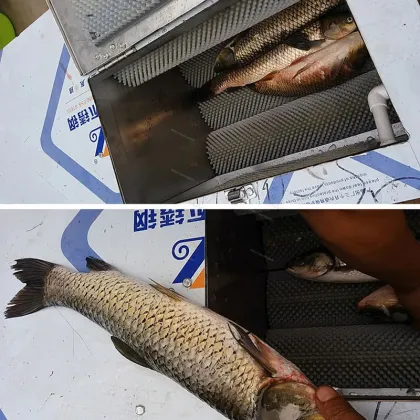 Electric Fish Scales Remover Machine - Fish Cleaning Tools