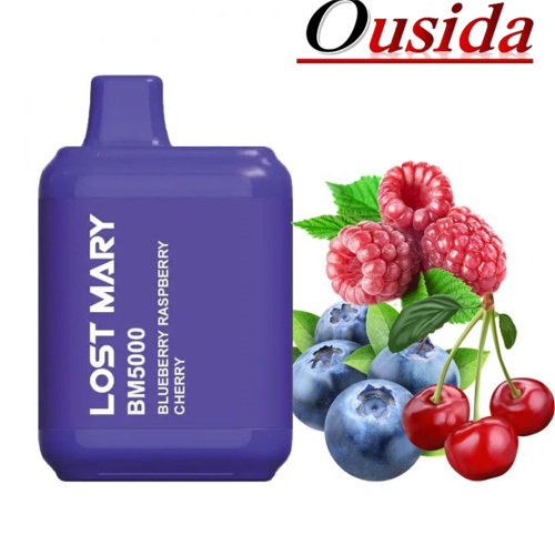 lost mary BM Disposable Vape Pod Device 5000Puffs